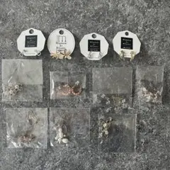 Mignon de Bijoux ピアス11点