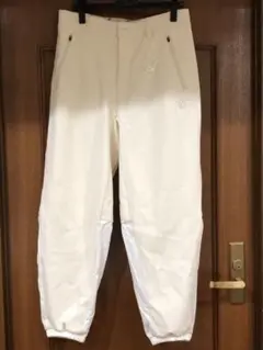 Item thumbnail for item f4d594a0-5d27-412f-bf5d-980082c82738