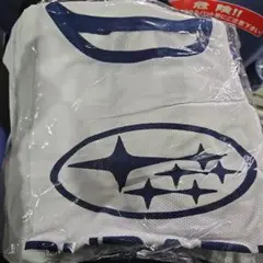 Item thumbnail for item c4c0fdb4-b580-4f02-a1d8-100ce0f6db52