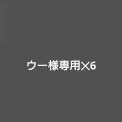 ウー様専用✕6