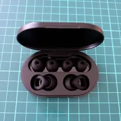 Item thumbnail for item d07f147e-addd-4c9b-be50-2e41f26f97a9