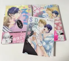 BL漫画 特典付き 葵さんえっちしよ Domは過剰にSubを愛でたい