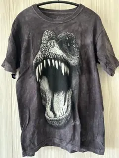 THEMOUNTAIN タイダイ恐竜Tシャツ ブラック 半袖 L