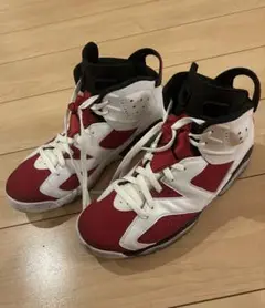 Nike Air Jordan 6 OG carmine