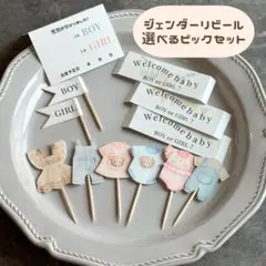 ♡ジェンダーリビール♡選べる洋服ピックもりもりセット性別発表　かわいい　おしゃれ