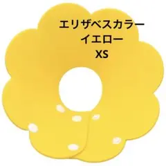 Item thumbnail for item 16e3592f-7f21-4e26-8b85-53af0bee83b0