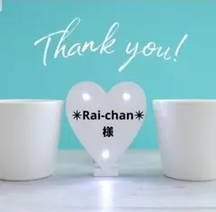 ✴︎Rai-chan‪✴︎様　25点おまとめ