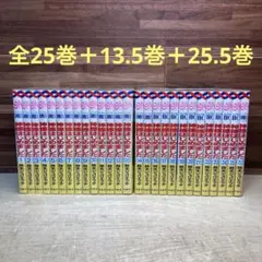 神様はじめました 全25巻+13.5巻+25.5巻セット 鈴木ジュリエッタ 全巻