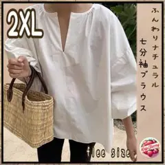 Item thumbnail for item a04de250-e4a8-4180-8485-64f0ae685e88