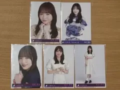 Item thumbnail for item fb5b85cf-9dd3-49f3-baf1-f834897e07cc