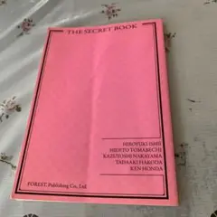 THE SECRET BOOK