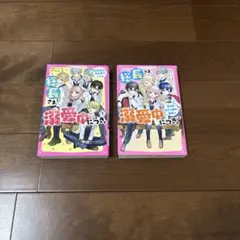 総長さま、溺愛中につき。全2巻セット