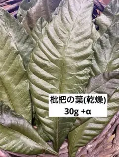 Item thumbnail for item 22036715-0709-4880-a37e-030928af44df