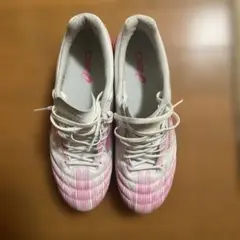 アシックス DS Light X-FLY 5 Limited 27.0