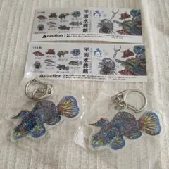 竹島水族館 限定 アクリルキーホルダー ニシキテグリ 2ヶセット
