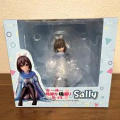 痛いのは嫌なので防御力に極振りしたいと思います。　サリー　フィギュア　新品未開封 2025年最新】痛いのは嫌なので防御力に極振りしたいと思います