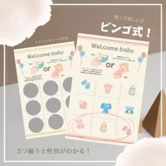 性別発表カード 2枚セット ビンゴ式ジェンダーリビールカード