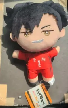 ハイキュー!!みにコレぬいぐるみ２
