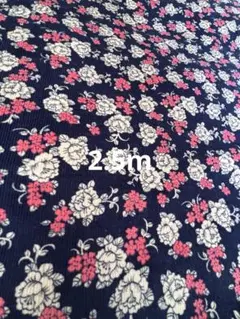 Item thumbnail for item 77d8ebd4-d655-4223-b3e1-a111af48ba86
