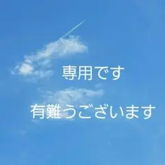 【難有り】 エルメス ショール カシミヤシルク カレ140