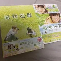 植物図鑑 運命の恋,ひろいました 豪華版('16松竹/ホリプロ/LDH