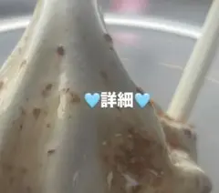 詳細です！