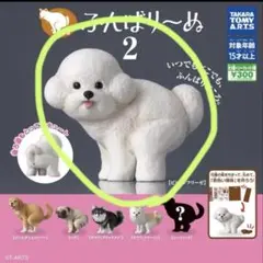 Item thumbnail for item 09c69658-aecf-472e-b94a-656dff006a3a