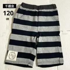 【新品】千趣会 ハーフパンツ ボーダー