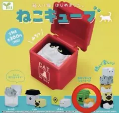 ねこキューブ スコティッシュフォールド ガチャ
