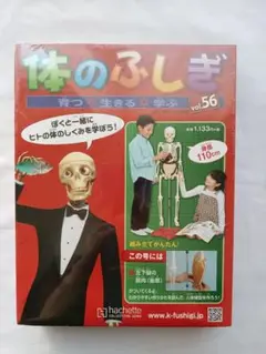 【未使用】アーサーが教える体のふしぎ［約¥65,000分］ アーサーが教える体のふしぎ(アシェット・コレクションズ