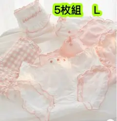 5枚組Ｌ レディース下着 女子高生ショーツ 肌着インナー ジュニア綿　第530号