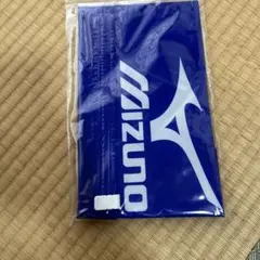 Mizuno 衣類圧縮パック M 青 35-50cm