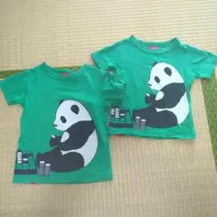 OJICO パンダ Tシャツ 100〜120 2枚セット