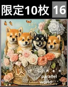 限定10枚　レアパネル生地　6柄セット　柴犬パネル生地