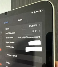iPad mini 6世代 Wifi 64GB スターライト　MOFTケース付き