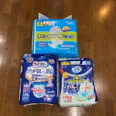 Item thumbnail for item b5c28011-55ed-4dbe-aa3f-f6518bad8f27