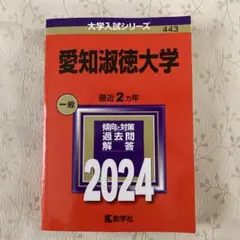 愛知淑徳大学 一般 2024年
