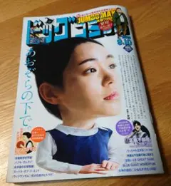 ビッグコミック　１７号