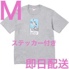 Supreme Liberty Tee "Heather Grey"