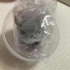 チンチラちゃんの壺(多動飼いさん応援格安！2個セット) チンチラちゃんの壺(多動飼いさん応援格安！2個セット) - メルカリ