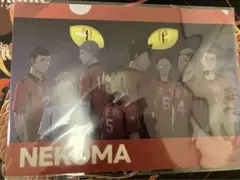 ハイキュー!! FLY HIGH フライハイ 音駒高校　クリアファイル
