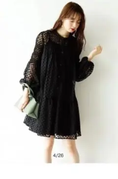 Mystrada シアー刺繍チュニックワンピース マイストラーダ