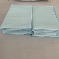 Item thumbnail for item 62f2940c-9e47-4488-bf5d-061adc4ae163