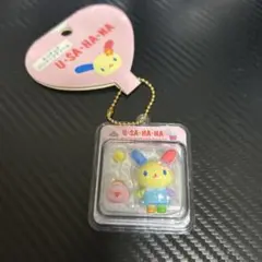サンリオキャラクターズ　ミニチュアパッケージチャーム　ウサハナ