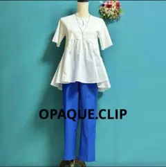 極美品 オペークドットクリップ カットソー