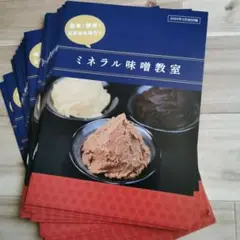 ミネラル味噌　パンフレット