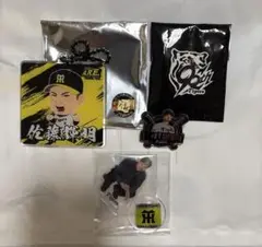 阪神タイガース　佐藤輝明選手キーホルダー＆ピンバッジ＆アクリルマスコットセット