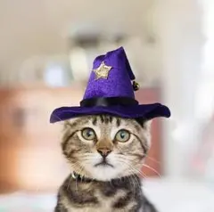 Item thumbnail for item 2d1fc0d0-d789-43af-b898-1c56fe28ed23