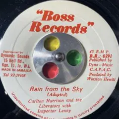 3304 レゲエ レコード 7インチ cover