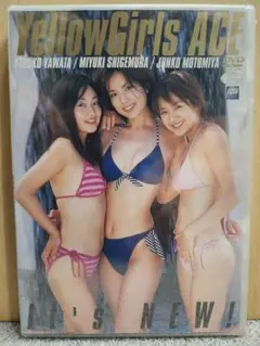 新品グラビアDVD 209 Yellow Girls ACE